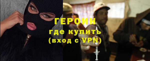 гашик Няндома