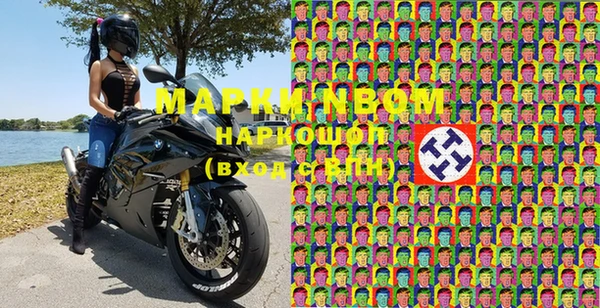хмурый Новозыбков