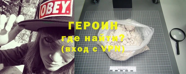 гашик Няндома
