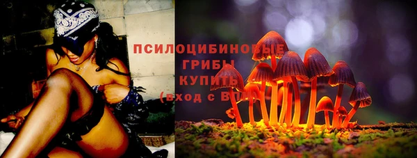гашик Няндома