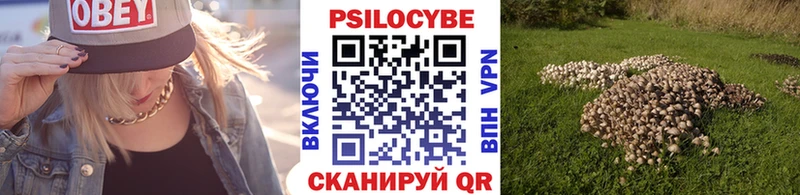 Галлюциногенные грибы Magic Shrooms  Ставрополь 