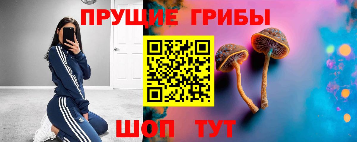Псилоцибиновые грибы ЛСД  Вход с VPN  Ставрополь 