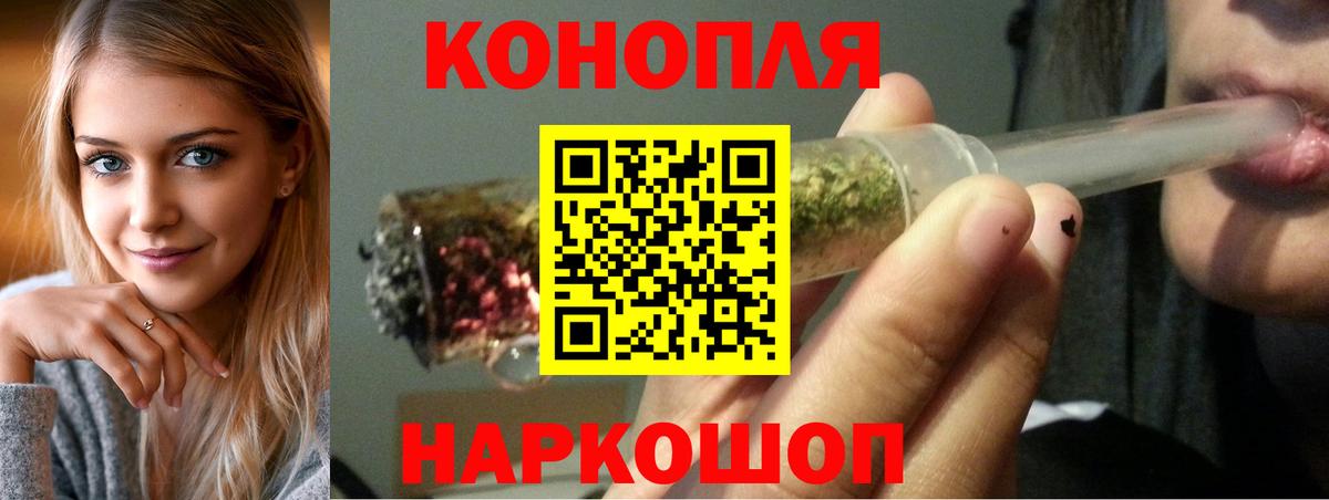 Каннабис планчик Ставрополь